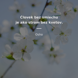 Človek bez smiechu je ako strom bez kvetov