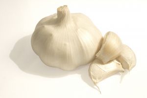 Cesnak neznižuje hladinu cholesterolu, zistili americkí vedci